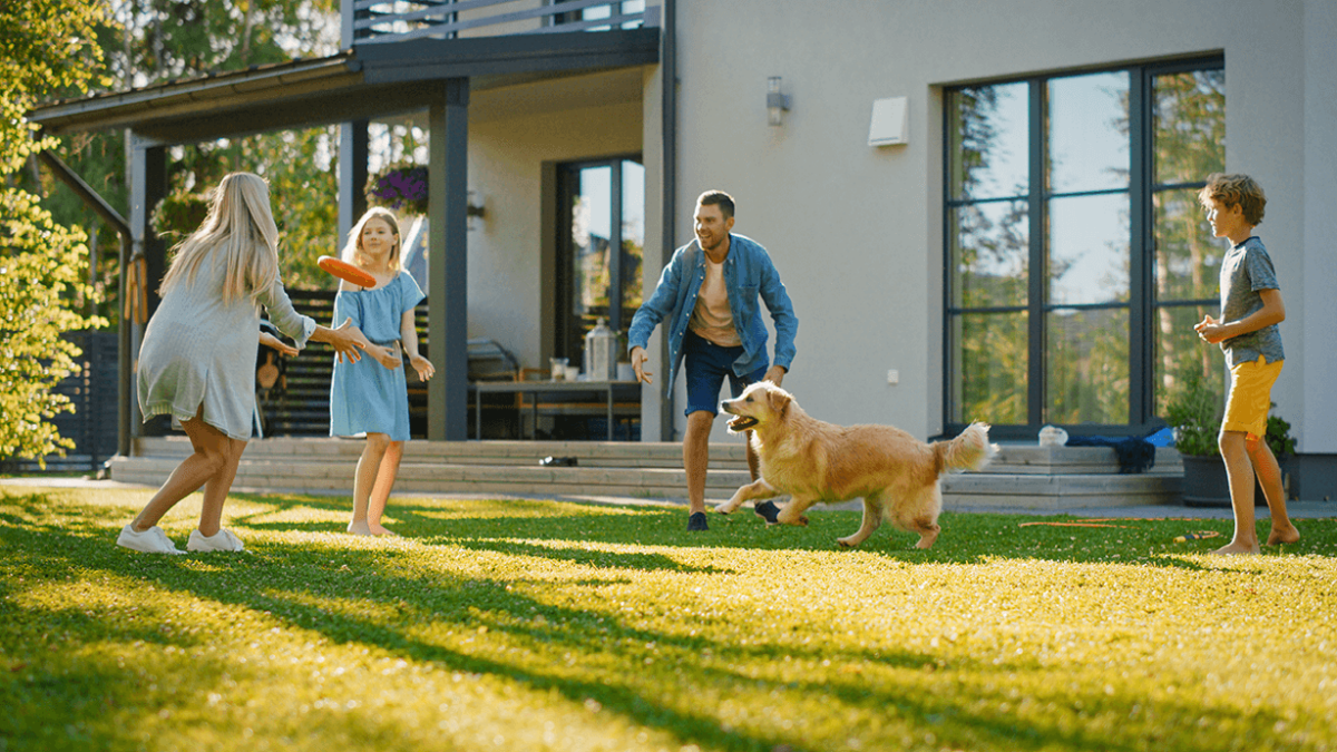 Professional Gutter Maintenance Sachse House Cleaners Near Me in Sachse, TX